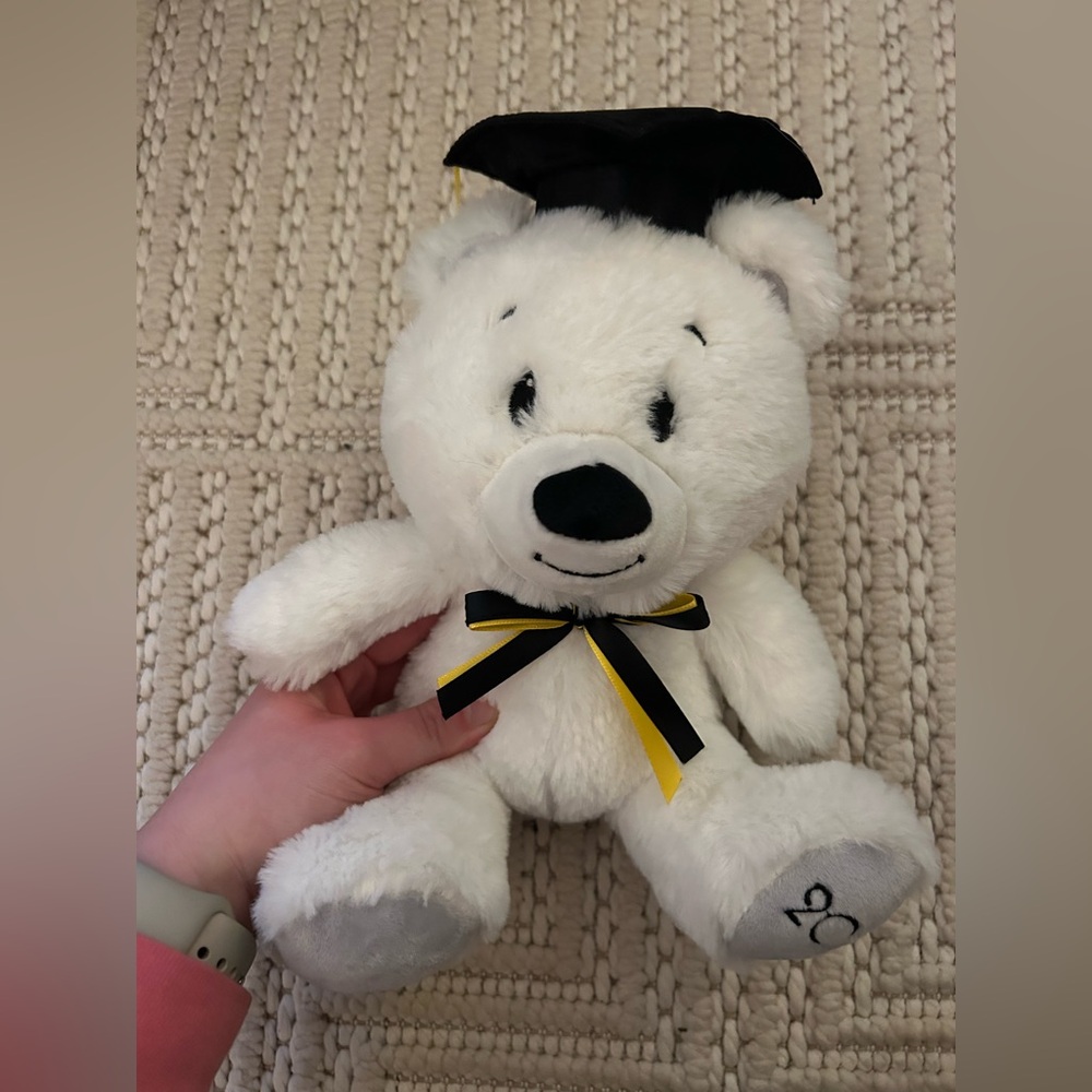 Super Cute 2019 White Graduation Teddy Bear Plush